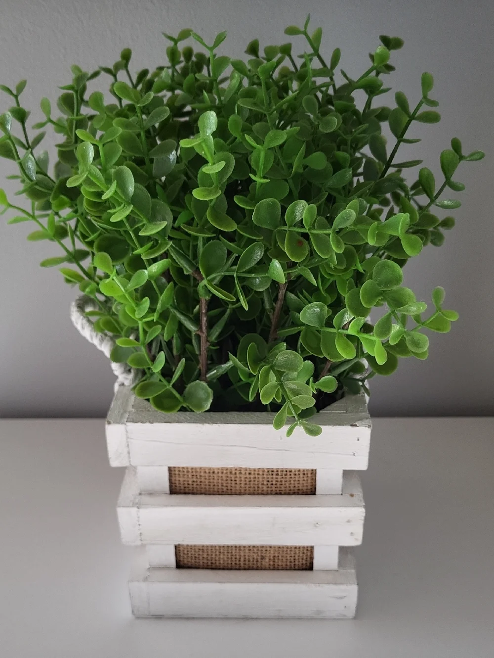 Green Faux Boxwood Plant in White Wooden Crate